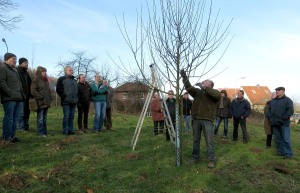 Obstbaumschnitt NABU 23.02.15 01