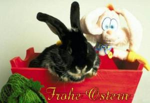 Ostern 10