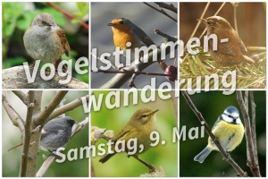 Foto_Vogelstimmenwanderung