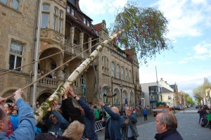 Maibaum 01.05.15 02