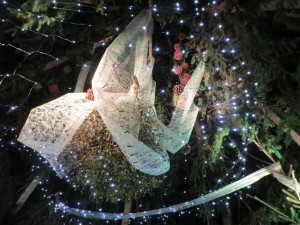 Minden Lesestund 09.12.15
