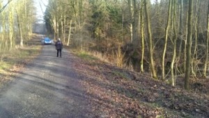 Waldweg Klosterforst 11.02.16