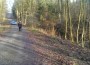 Unfallflucht im Wald</br>Polizei sucht Fahrer eines roten Pkw