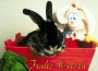 Frohe Ostern