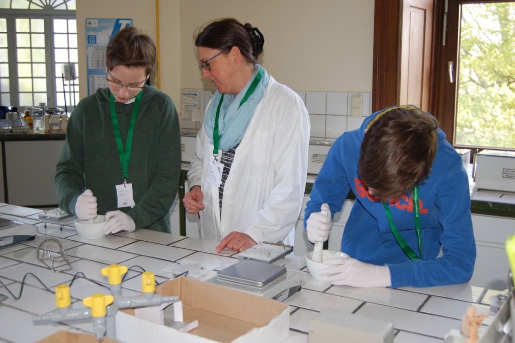 Erste Einblicke ins BerufslebenZukunftstag bei Schulen Dr. Kurt Blindow