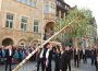Bürgerbataillon stellt Maibaum auf</br>Traditionelle Maifeier auf dem Marktplatz