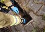 Katze aus misslicher Lage befreit