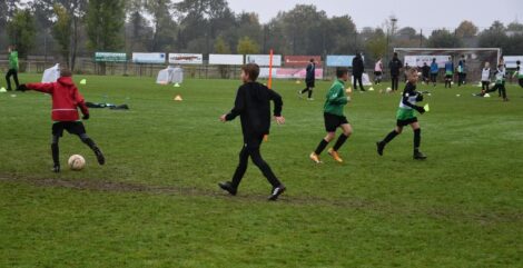 Sportausschuss einstimmig für neuen Naturrasen</br>Brombach: „Hybridrasen war ein Vorschlag der Grünen“