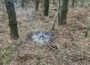 Brennender Unrat im Wald