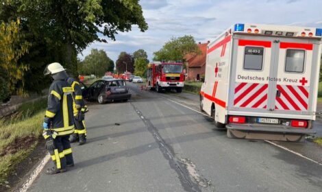 Verkehrsunfall auf L446 </br>Polizei ermittelt Unfallursache