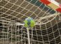 Heiner Brand – ein Artikel über seinen Werdegang und die Handball-WM 2023