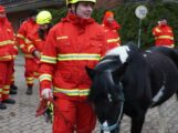 DLRG Wasserrettungszug übt Evakuierung von Pferden