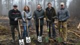 „Wald ist der beste Klimaschützer“ </br>Volksbank pflanzt 3.000 Baum-Setzlinge im Bückeberg