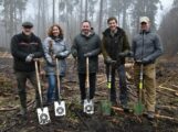 „Wald ist der beste Klimaschützer“ </br>Volksbank pflanzt 3.000 Baum-Setzlinge im Bückeberg