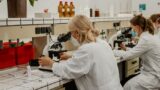 Naturwissenschaft, Gesundheit & Gestaltung: Blindow-Schulen zeigen Vielfalt