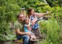 Fernglas raus, Ohren auf: </br>Die Stunde der Gartenvögel startet!