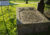 Gästeführung: Johann Christoph Friedrich Bach