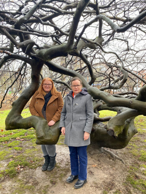 Schaumburger Kulturpreis 2026: Bewirb dich jetzt mit deinem Landschaftsprojekt!